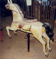 Carousel Horse Photos
